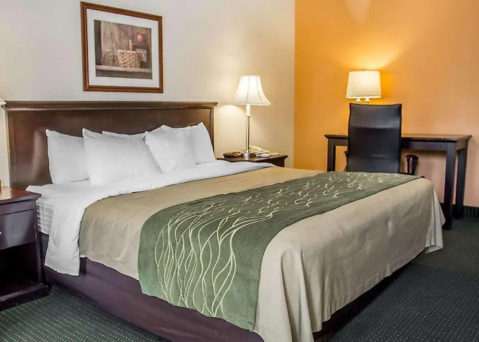 Quality Inn Riverside Near Ucr And Downtown
