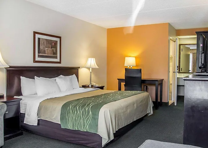 Quality Inn Riverside Near Ucr And Downtown