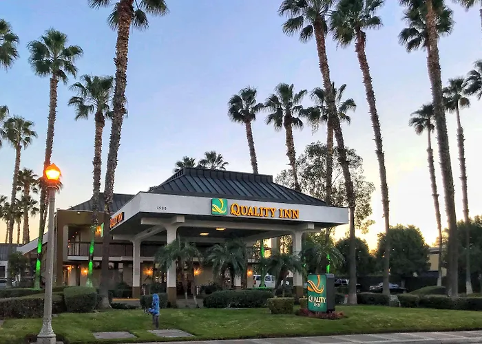 Quality Inn Riverside Near Ucr And Downtown